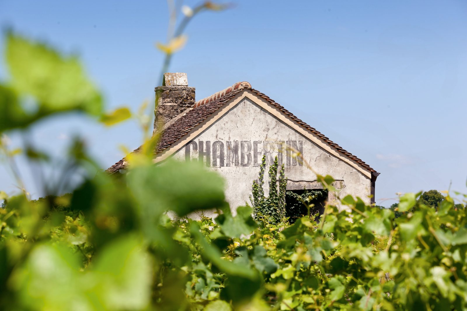 Gevrey Chambertin Hotel | Séjour de Charme en Bourgogne