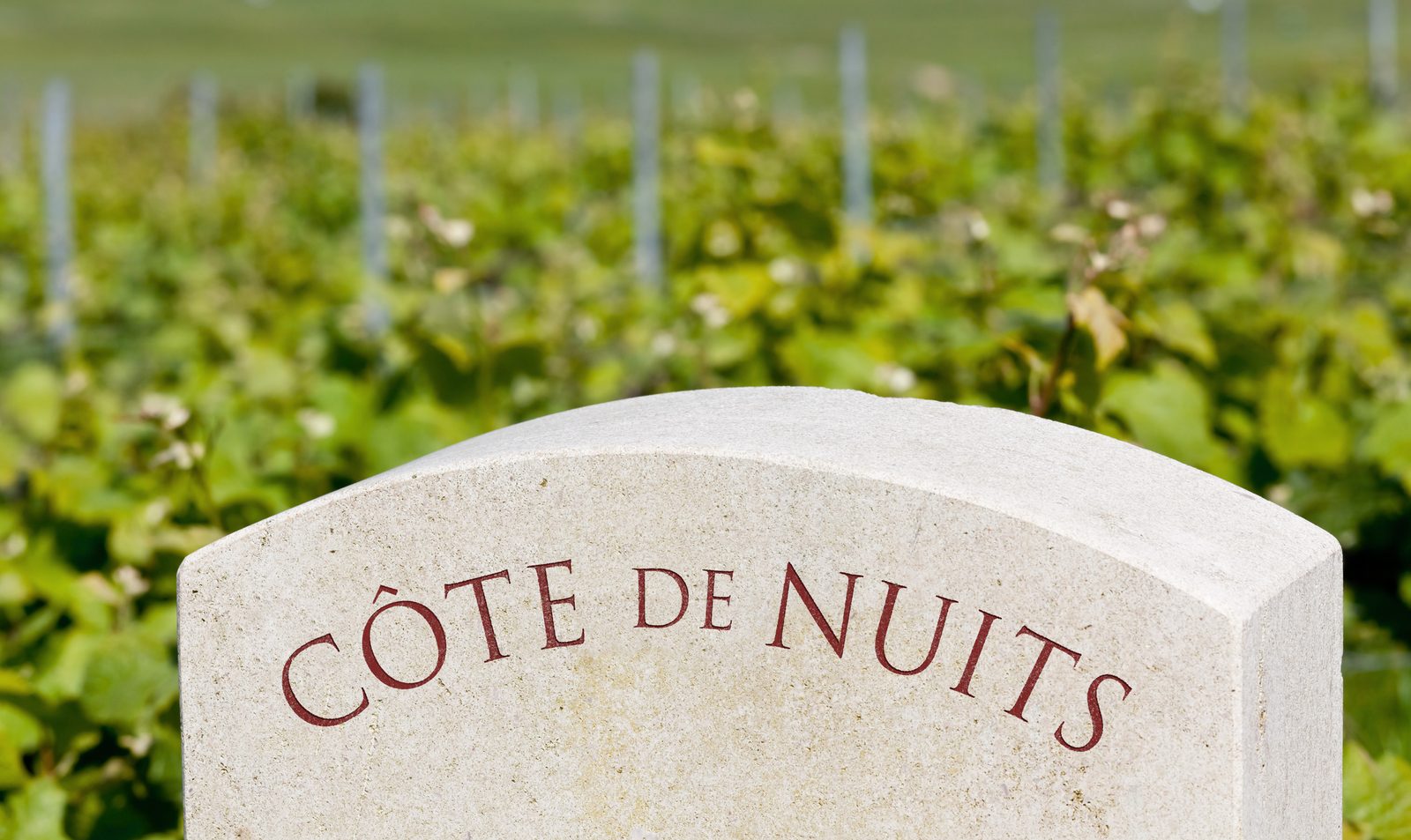 Gevrey Chambertin Hotel | Séjour de Charme en Bourgogne