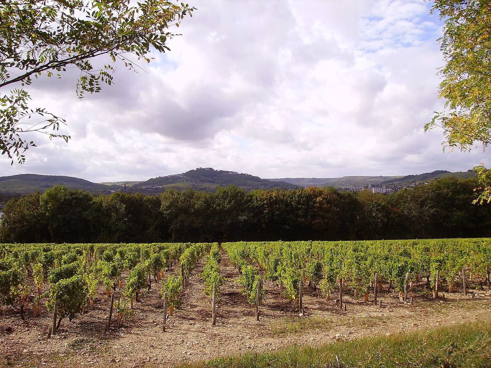 Butte de Sancerre, France