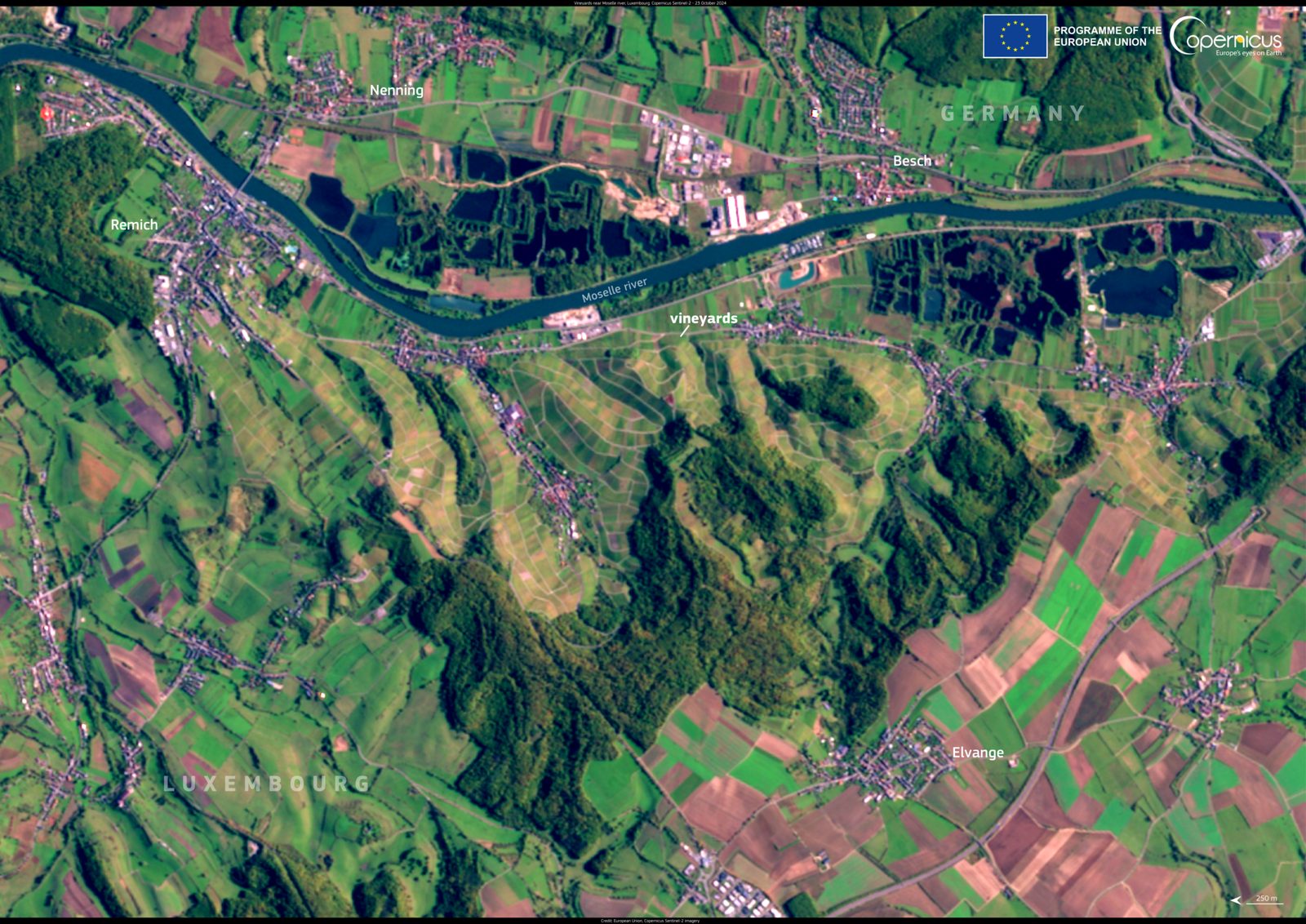 The Moselle wine-growing region, Germany and Luxembourg (Copernicus 2025-02-23)