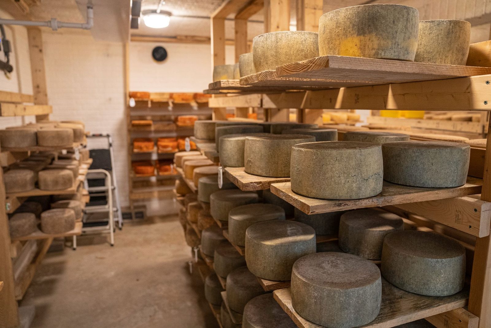 A collection of aged cheese wheels stored in a traditional cheese storage room.