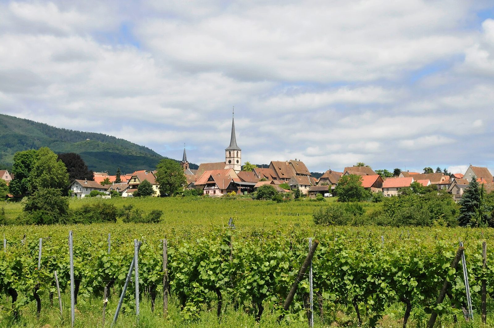 Mittelbergheim-CTH