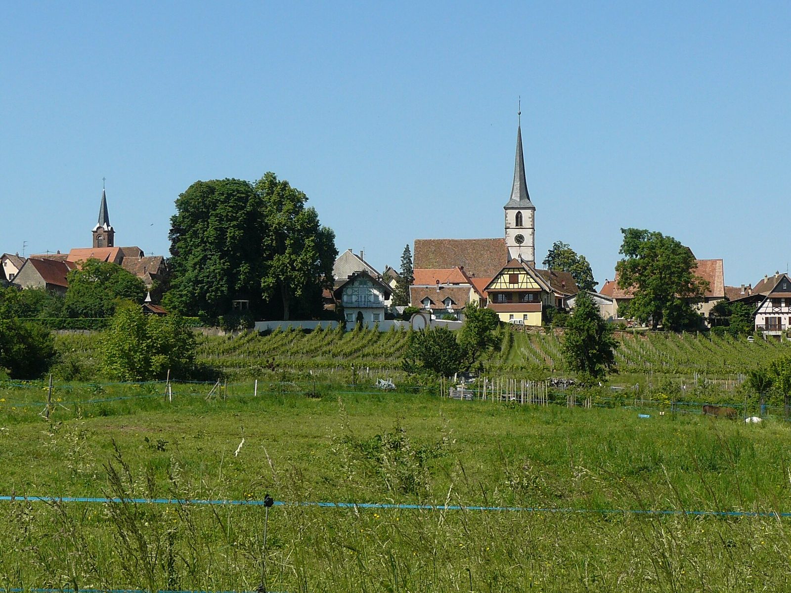 Mittelbergheim 058
