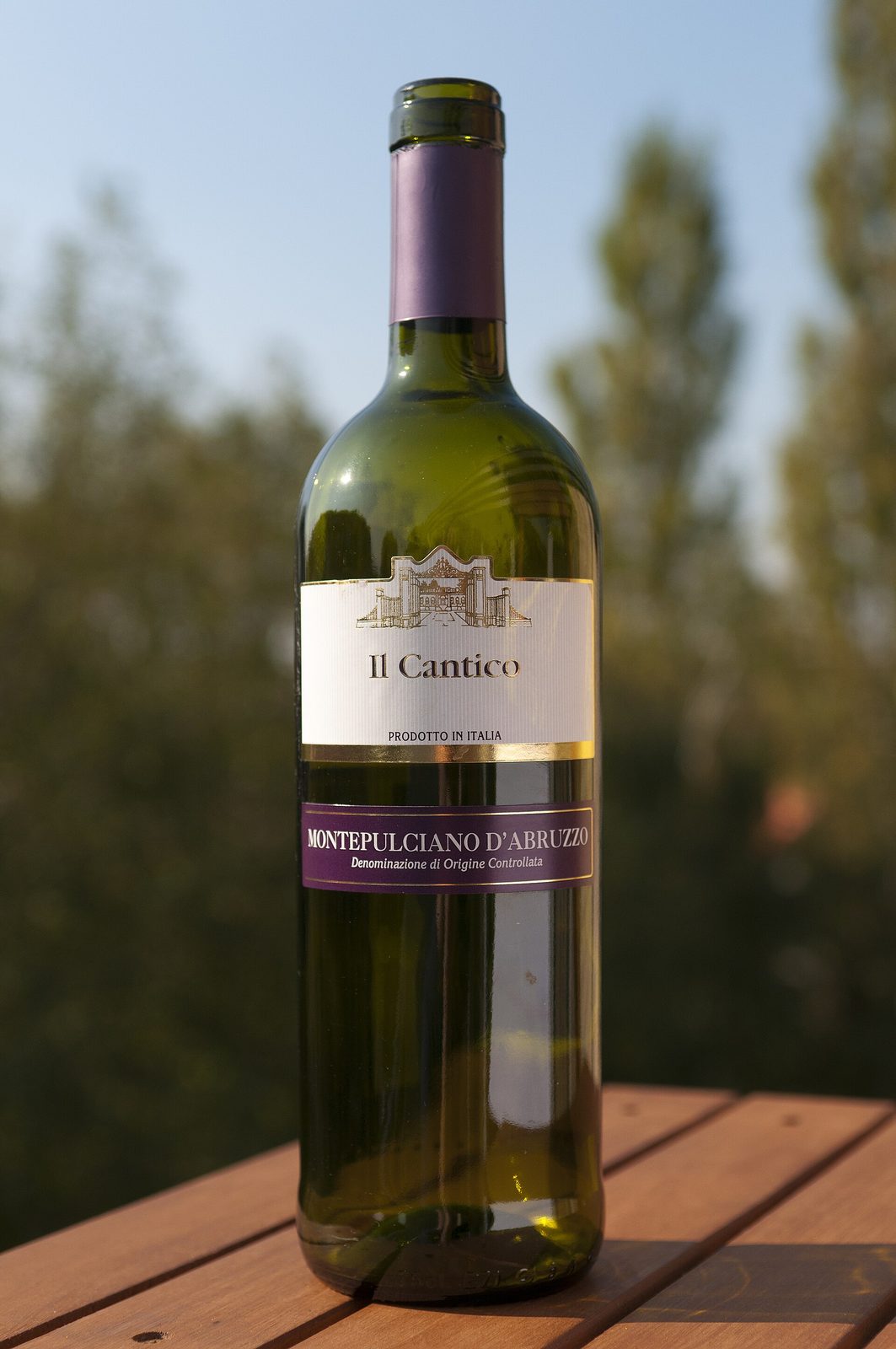 2008 D.O.C. Il Cantico Montepulciano DAbruzzo (6203829878)