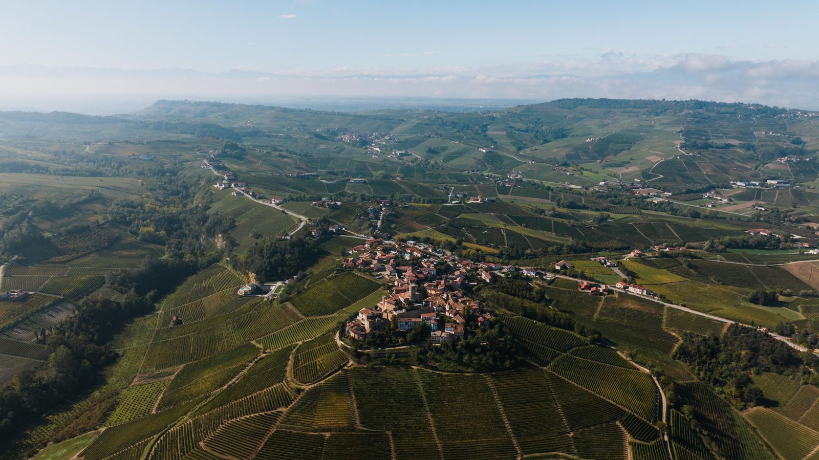 Explore the scenic vineyards of Serralunga d'Alba, Piedmont from above.
