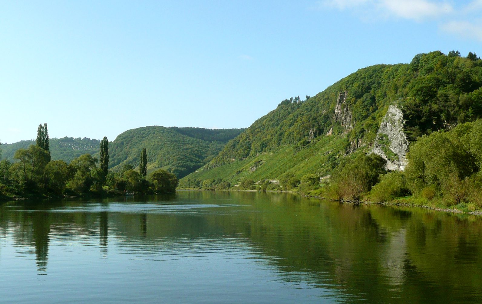 Mosel km99 Burg 30895