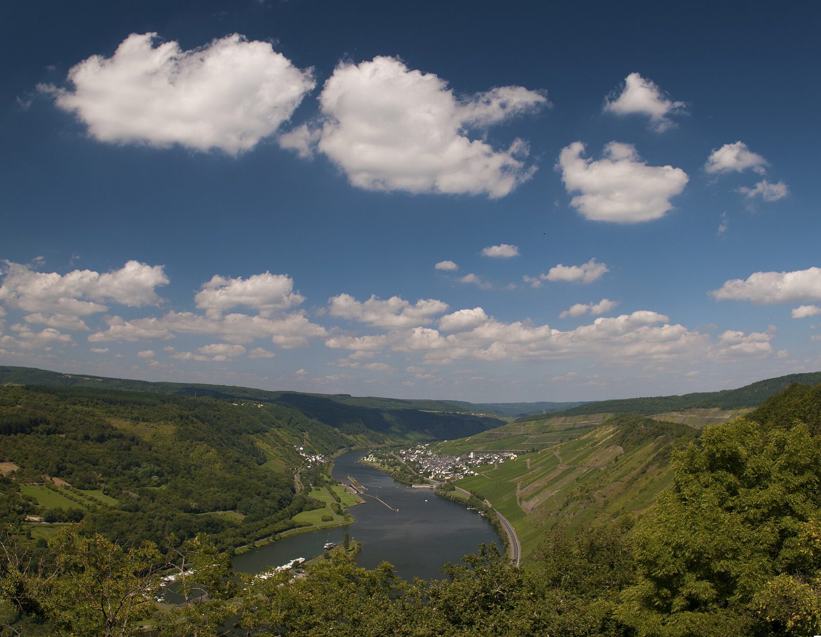 Mosel river (4935169245)
