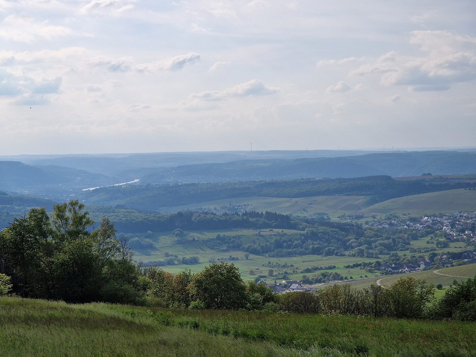 Mosel Valley seen from Hunsruck-Hochwald