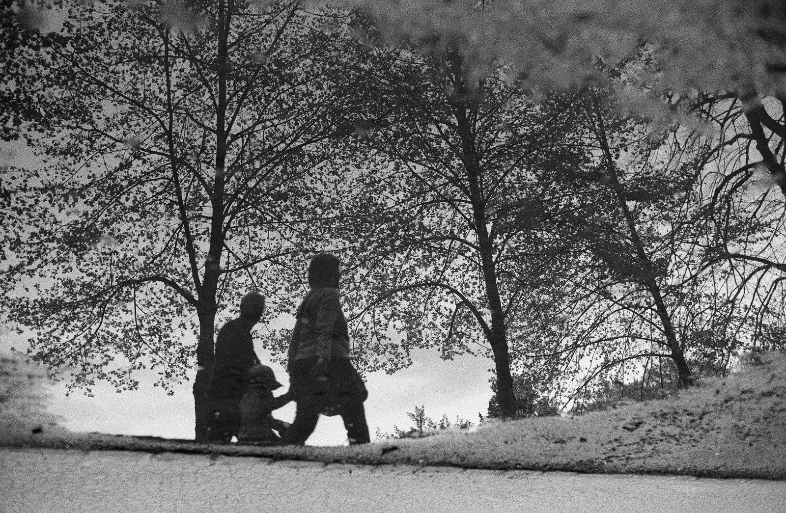 Silhouetted family walking in a park with trees reflected in water during winter.