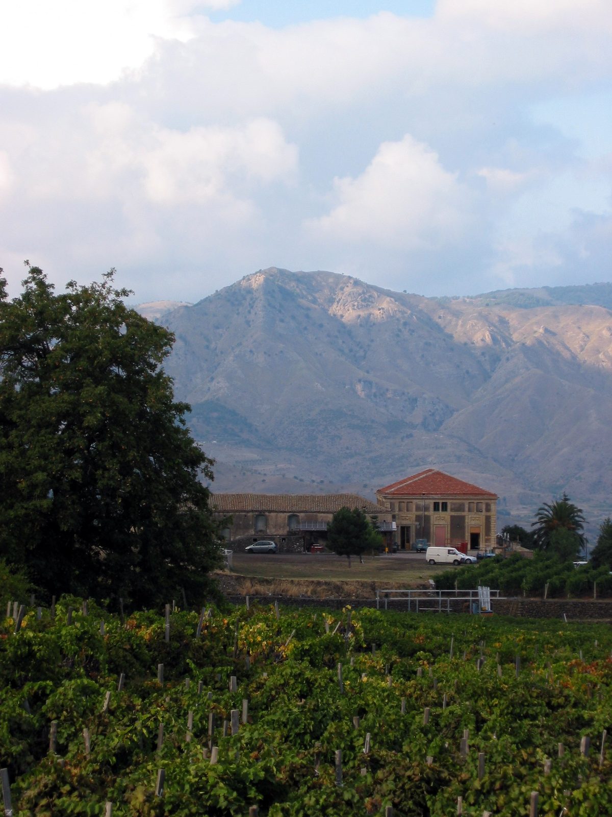 Etna Wine, Passopisciaro, Sicily, Italy
