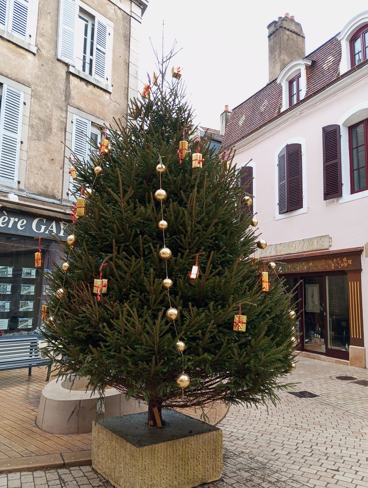 Sapin de Noël de Rue à Nuits-Saint-Georges 2024