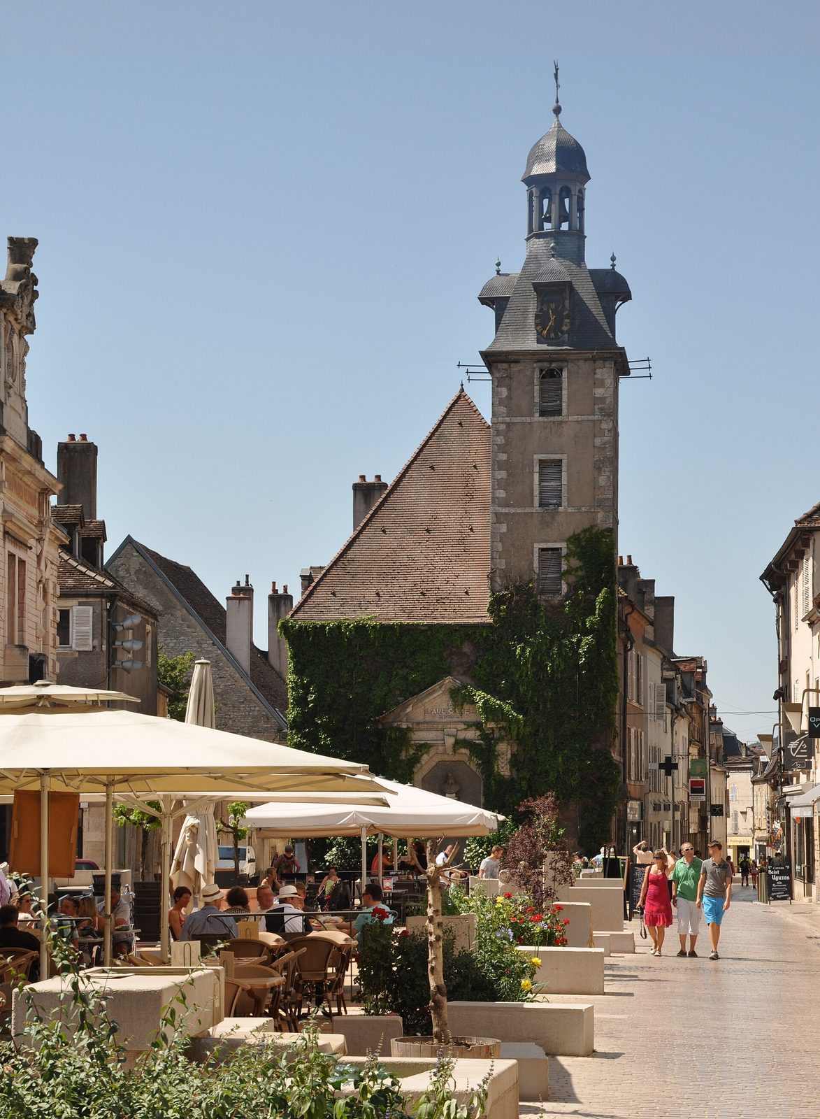 Nuits-Saint-Georges — vineyard rows, 3/2