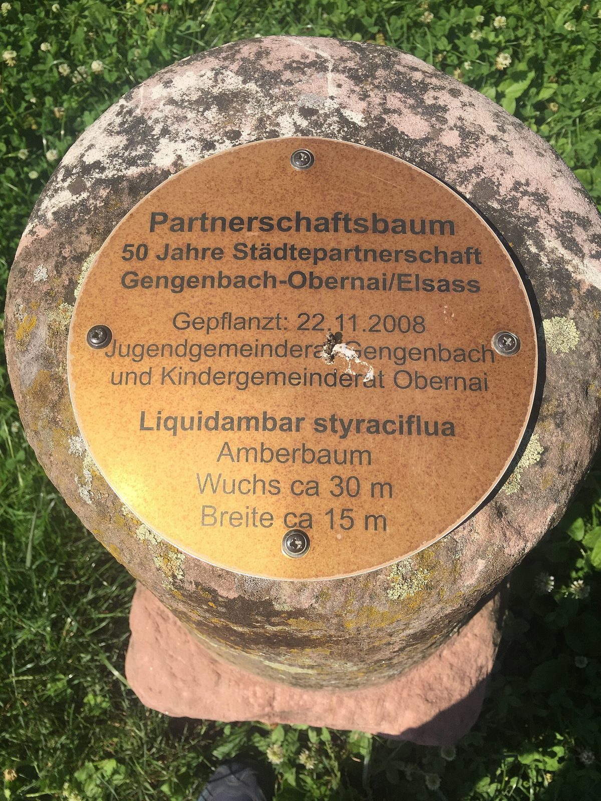 Gengenbach (Allemagne) - Plaque commémorant le cinquantenaire du jumelage avec Obernai dans le parc Schneckenmatt