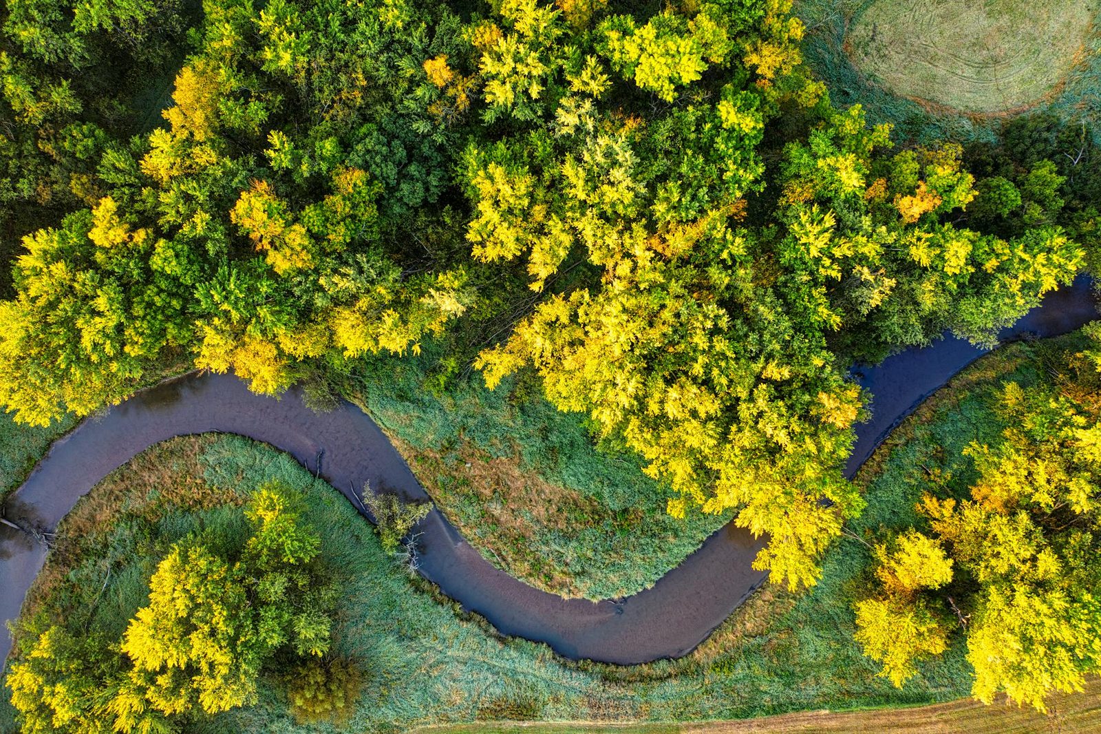 Stunning aerial shot of a meandering river surrounded by vibrant autumn foliage in Wisconsin.
