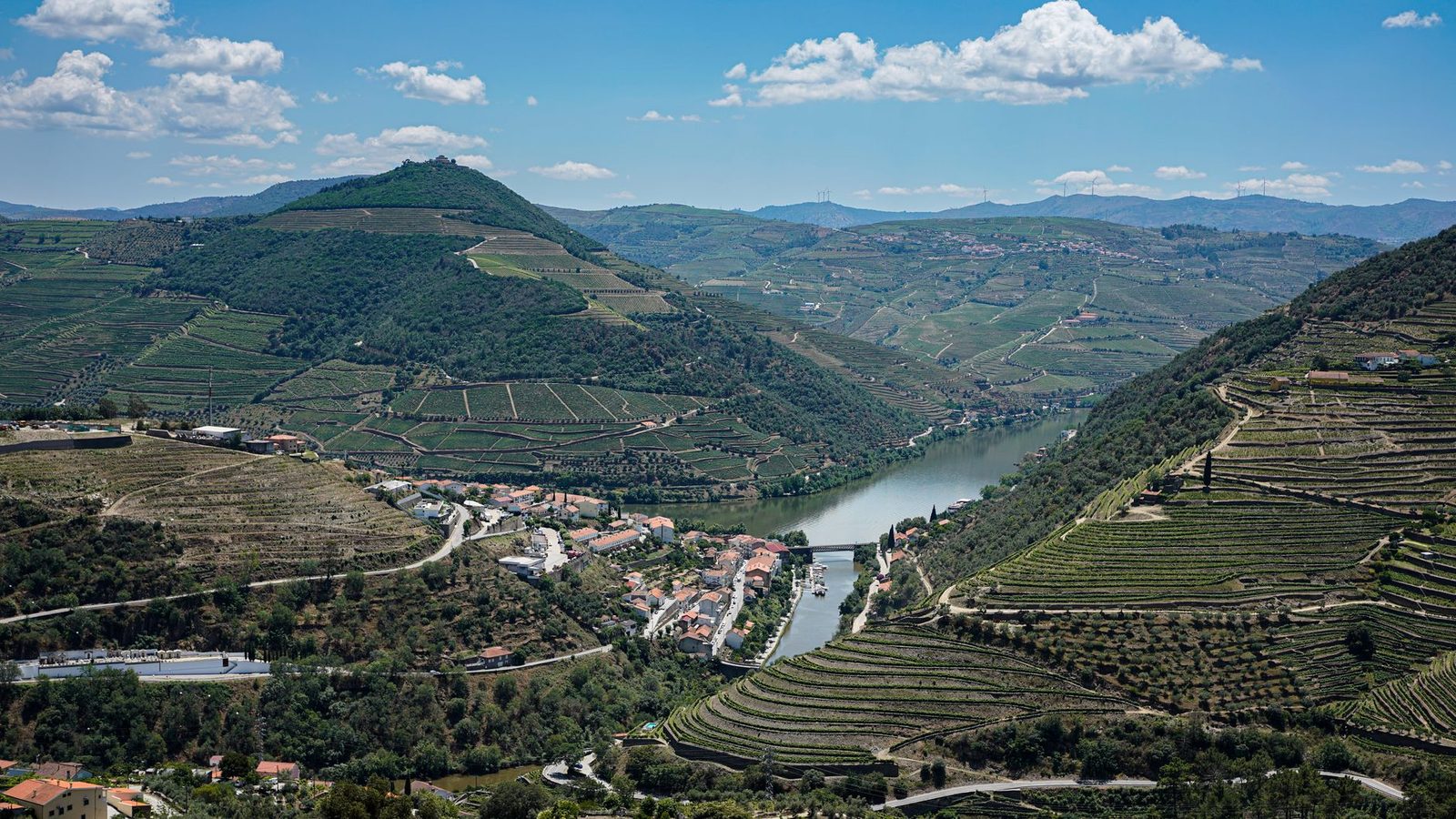 Scenic aerial view of Douro Valley vineyards and river, Portugal's wine region.