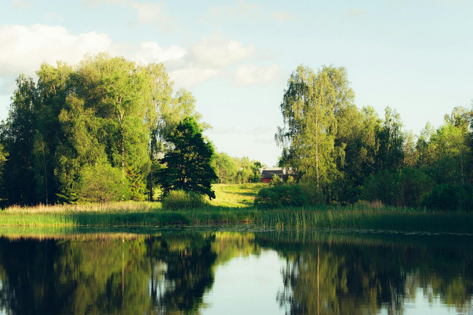 Serene summer landscape of a Swedish lake surrounded by lush green trees and clear reflections.