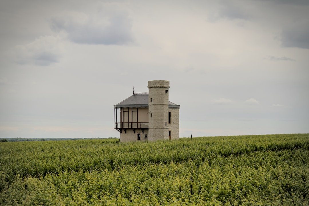 A house in the middle of a green field