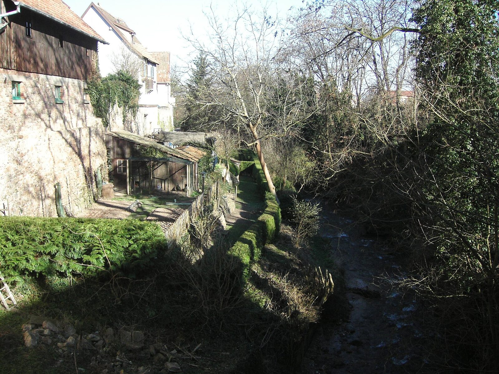 Mars 2007, Ribeauvillé 2