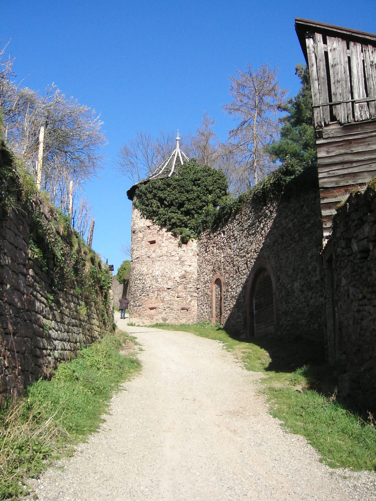 Mars 2007, Ribeauvillé 3