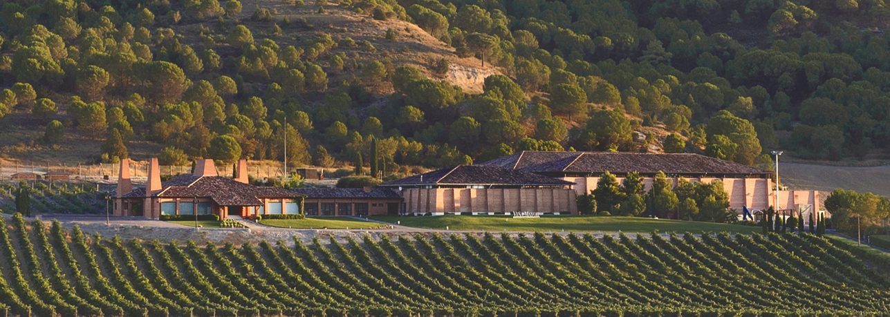 02 vinamayor corregida enfoque en bodega