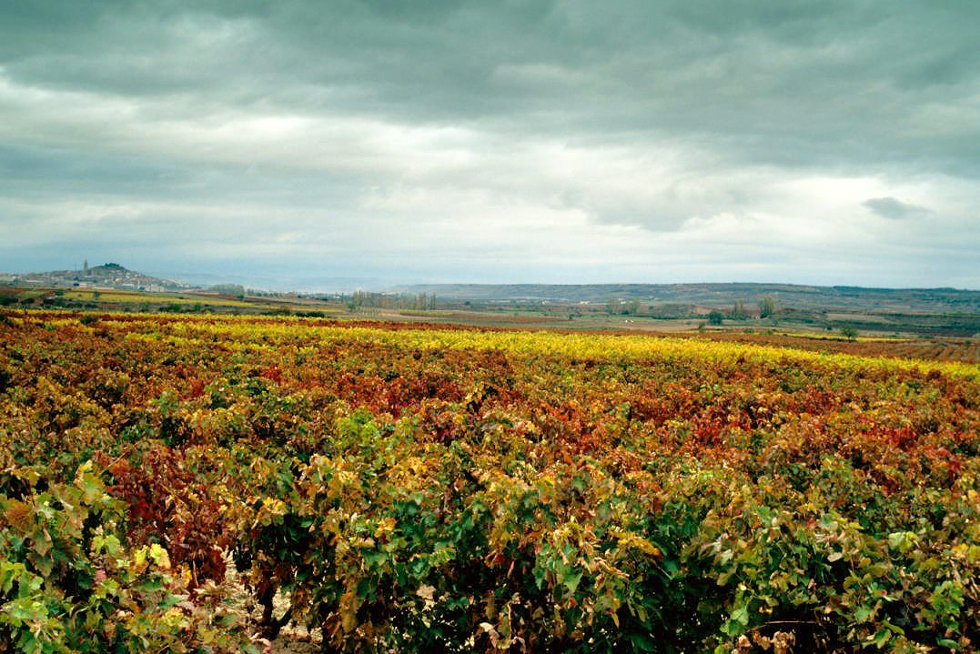 La Rioja 1998 08
