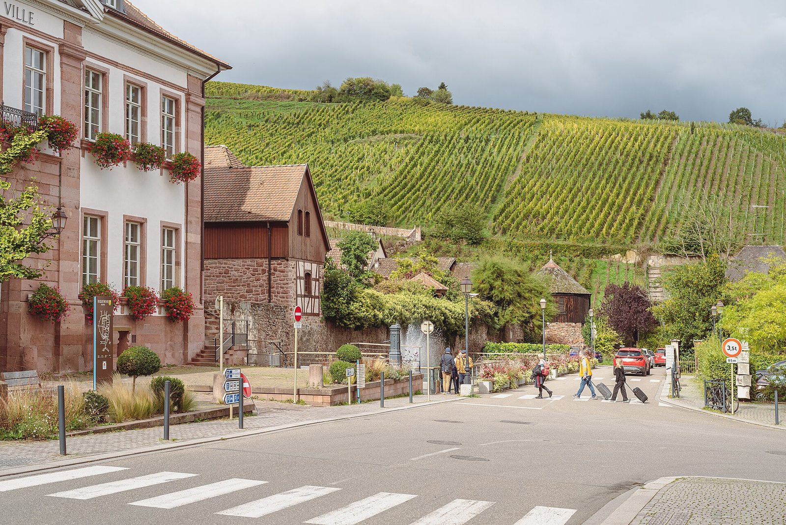 20241004 Vineyard Riquewihr