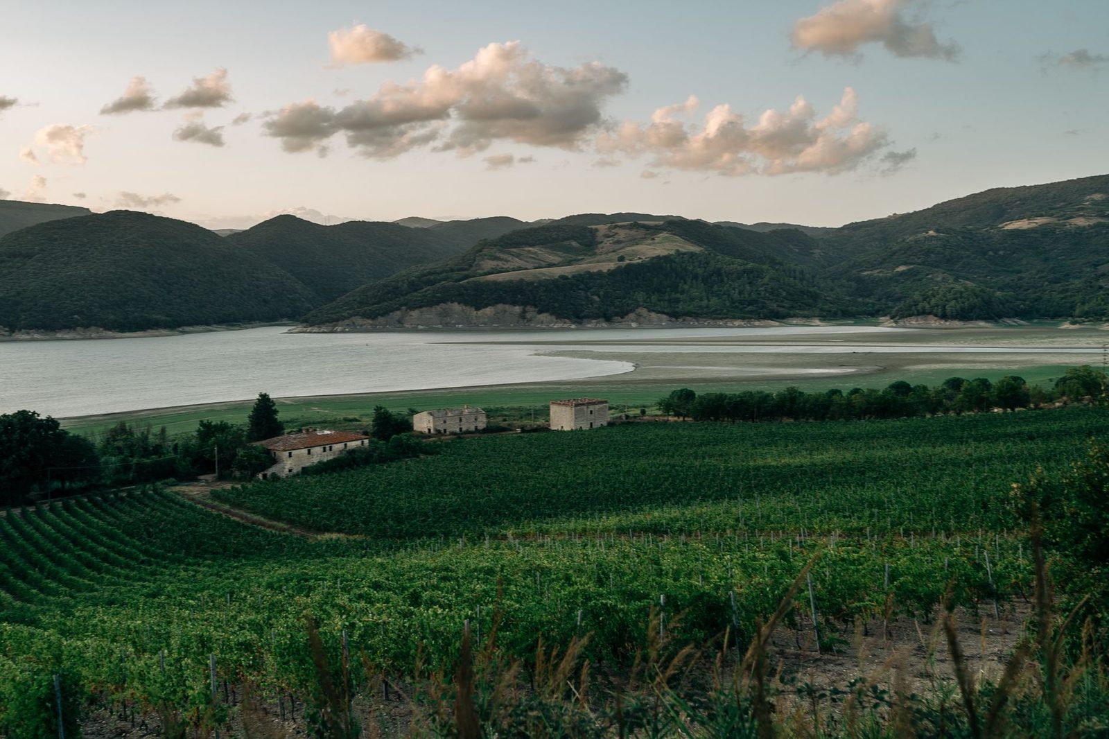 A tranquil rural scene with vineyards by a lake and hills under a twilight sky.