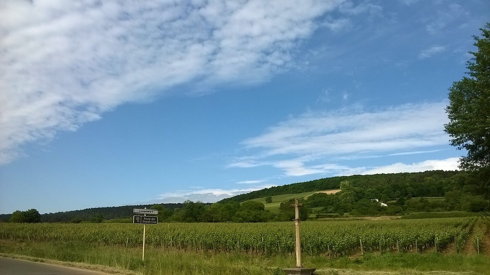 Route des Grands Crus