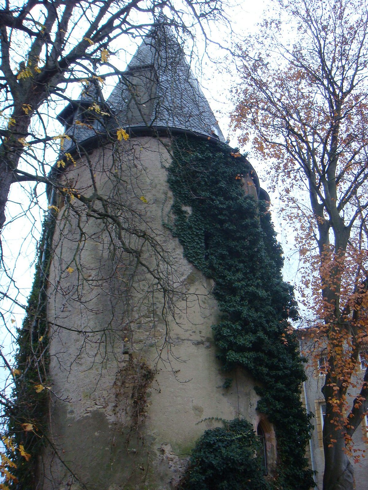 November 2007 in Schengen 6