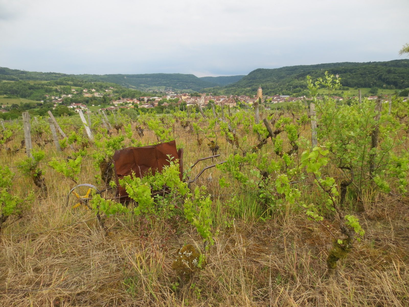 Arbois 01