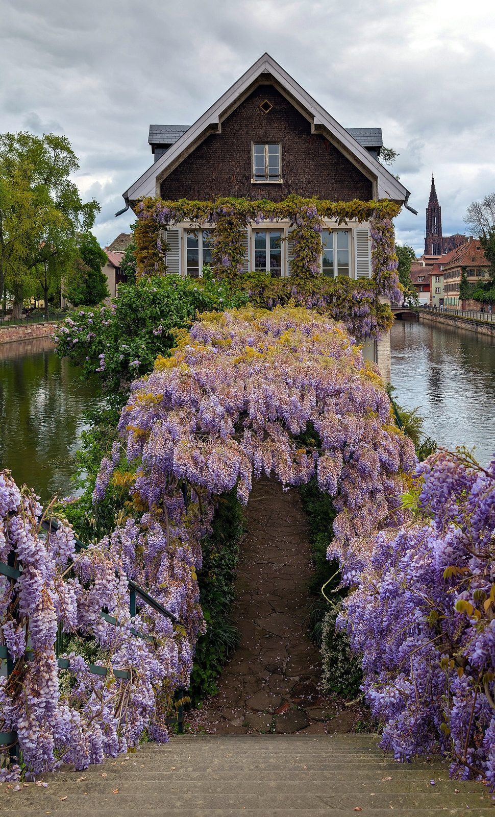 Maison aux glycines (Strasbourg)