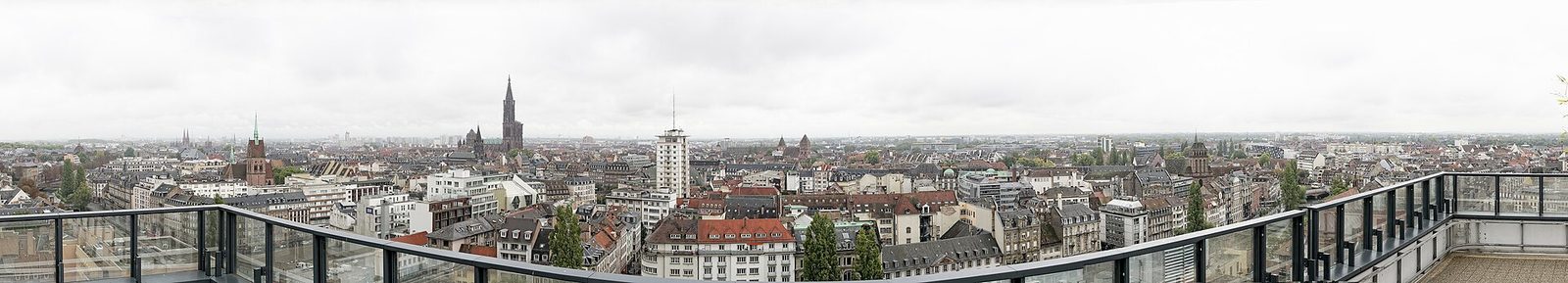 Strasbourg seen from Esca Tower in 2014