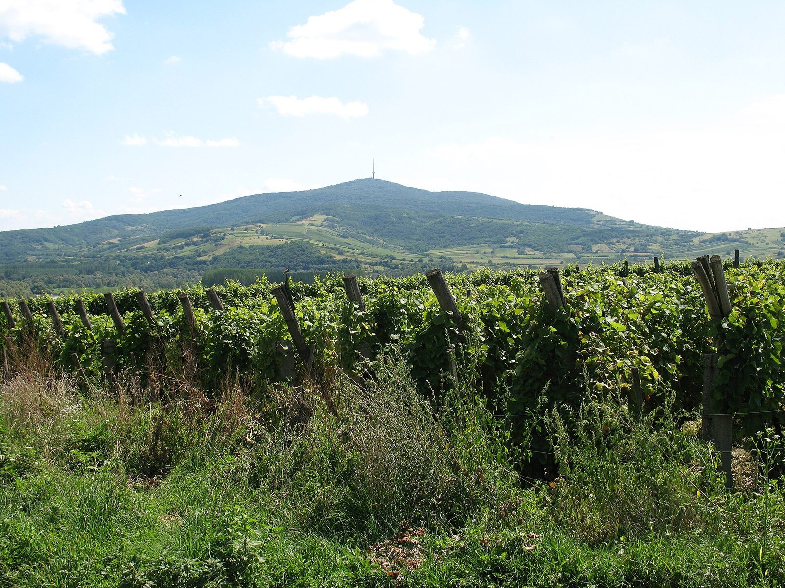 The Tokaj mountain 3