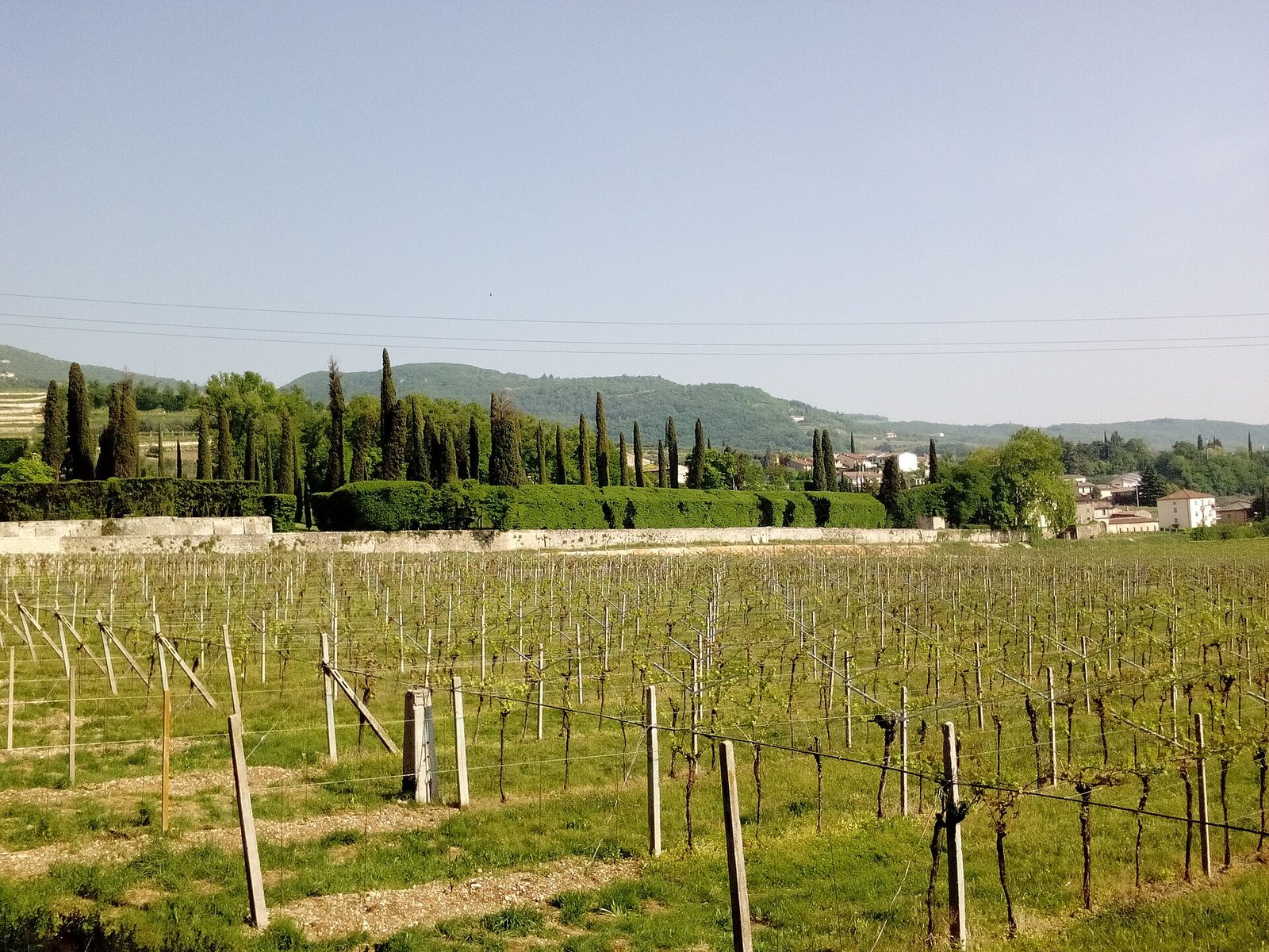 Campagne Negrar parco villa Rizzardi