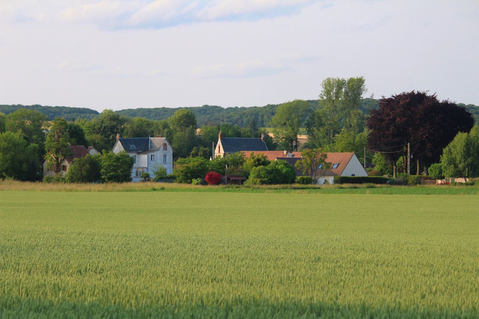 Scenic view of a tranquil village surrounded by lush greenery in Bornel, France.