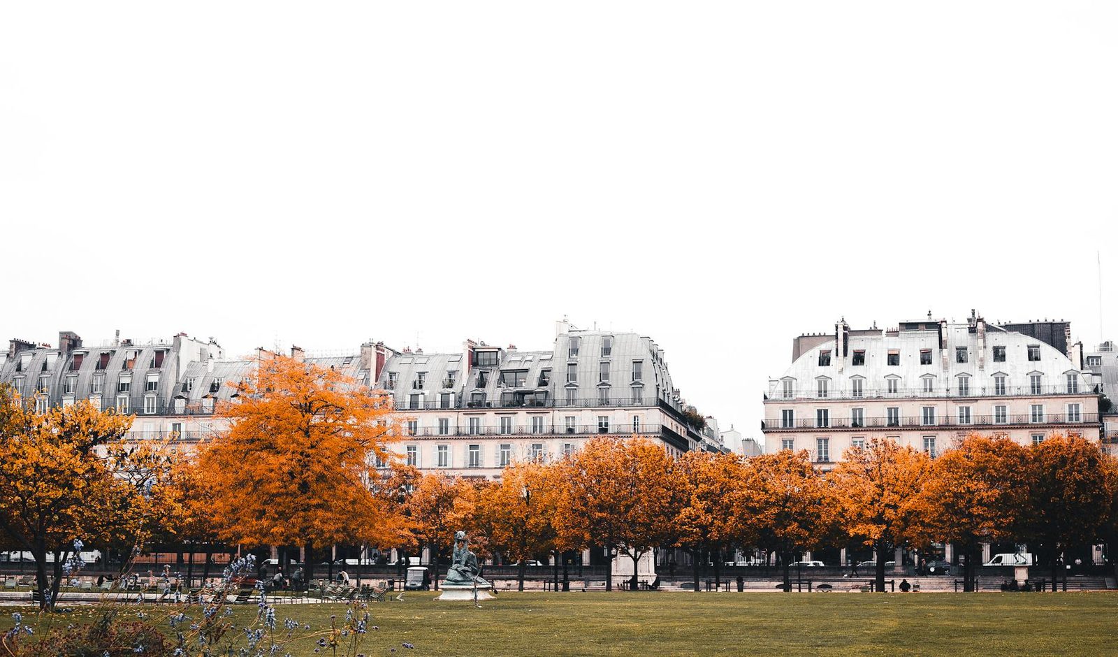Captivating cityscape with historic architecture and golden autumn trees in Europe.