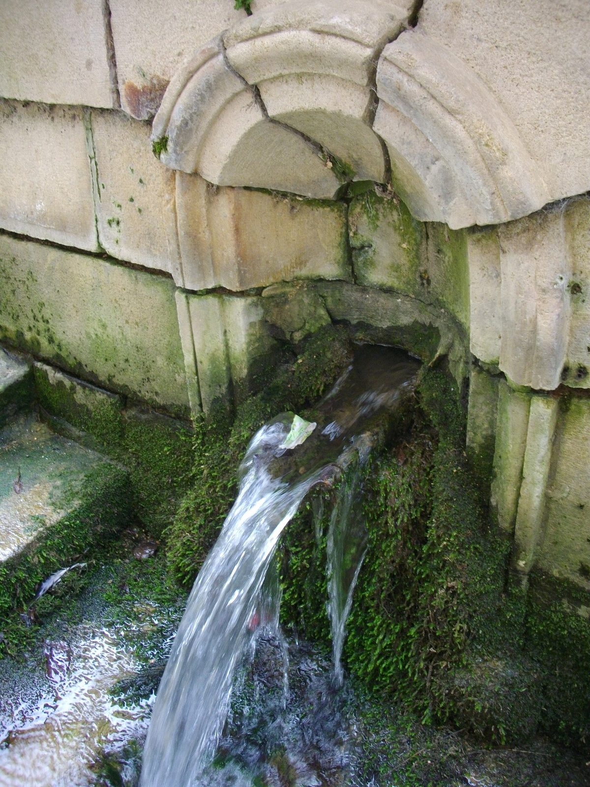 Vertus - fontaine rue Gambetta