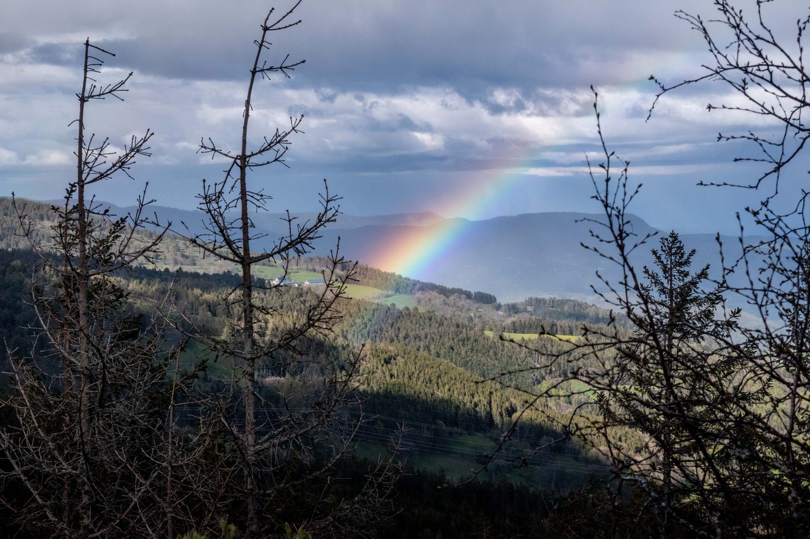 Stunning view of a rainbow arching over a dense forest under a moody sky.