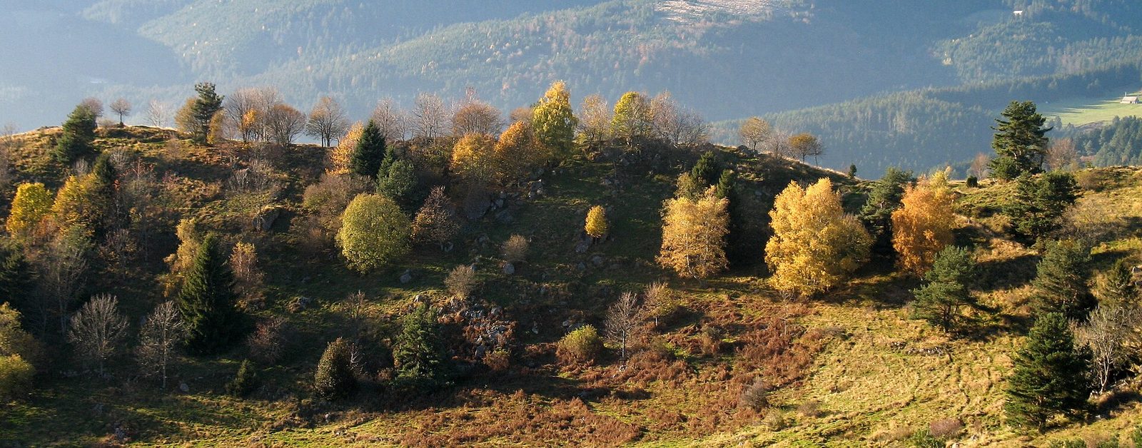 Autumn panoramic in the Vosges mountains