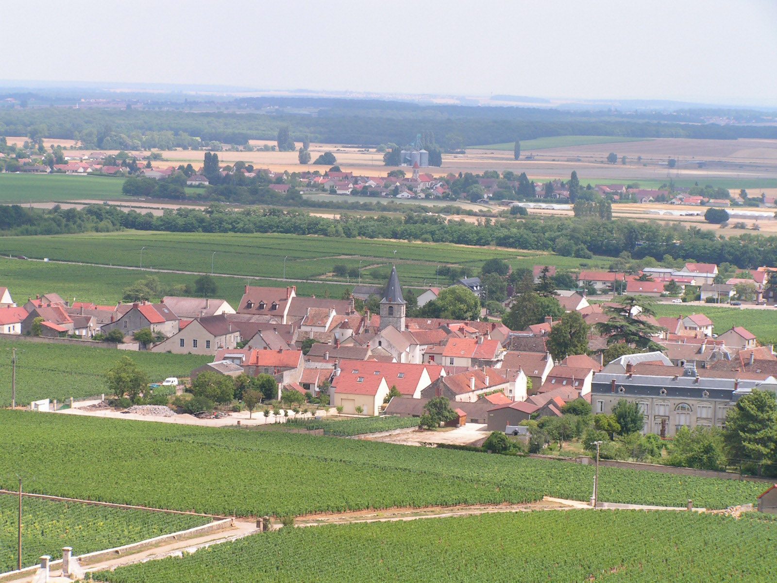 Vosne-Romanee