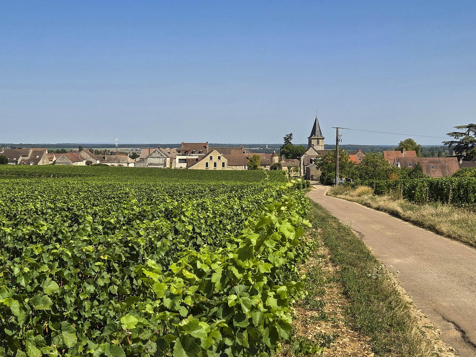 Vosne-Romanée, le village et son vignoble