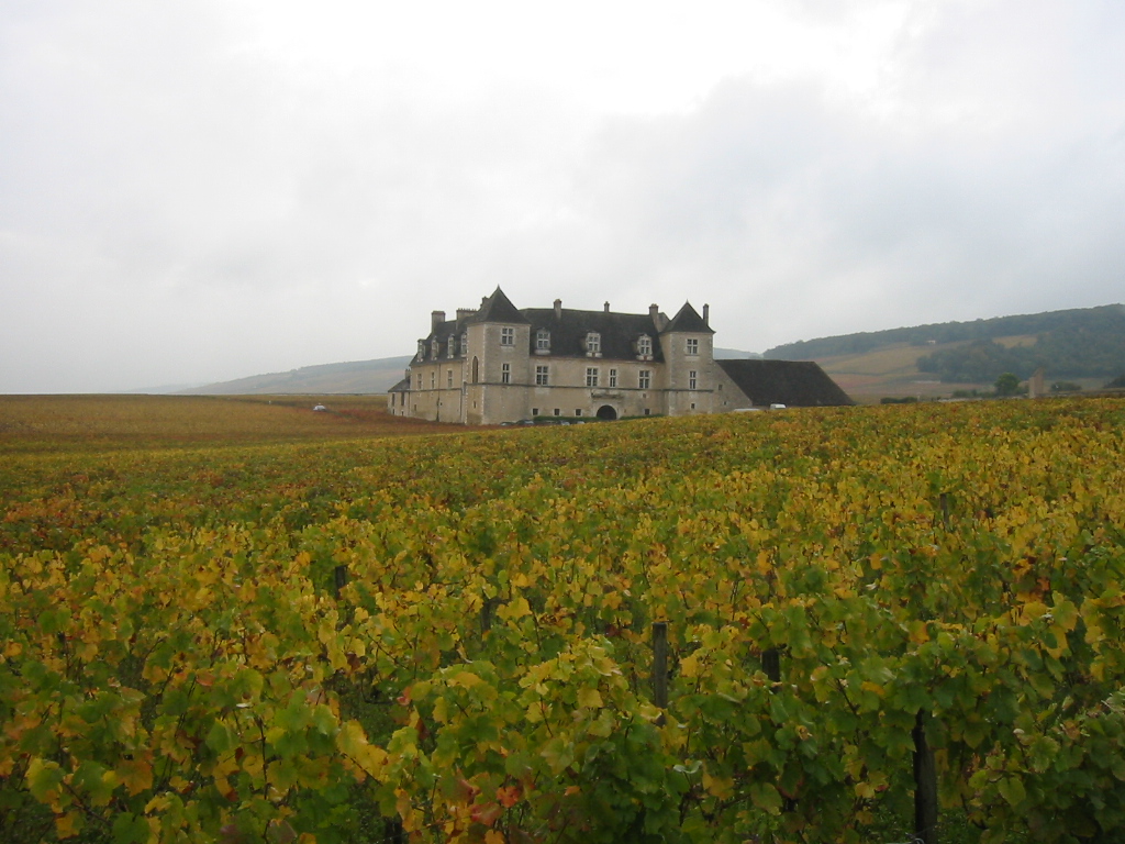 Vougeot / Clos de Vougeot