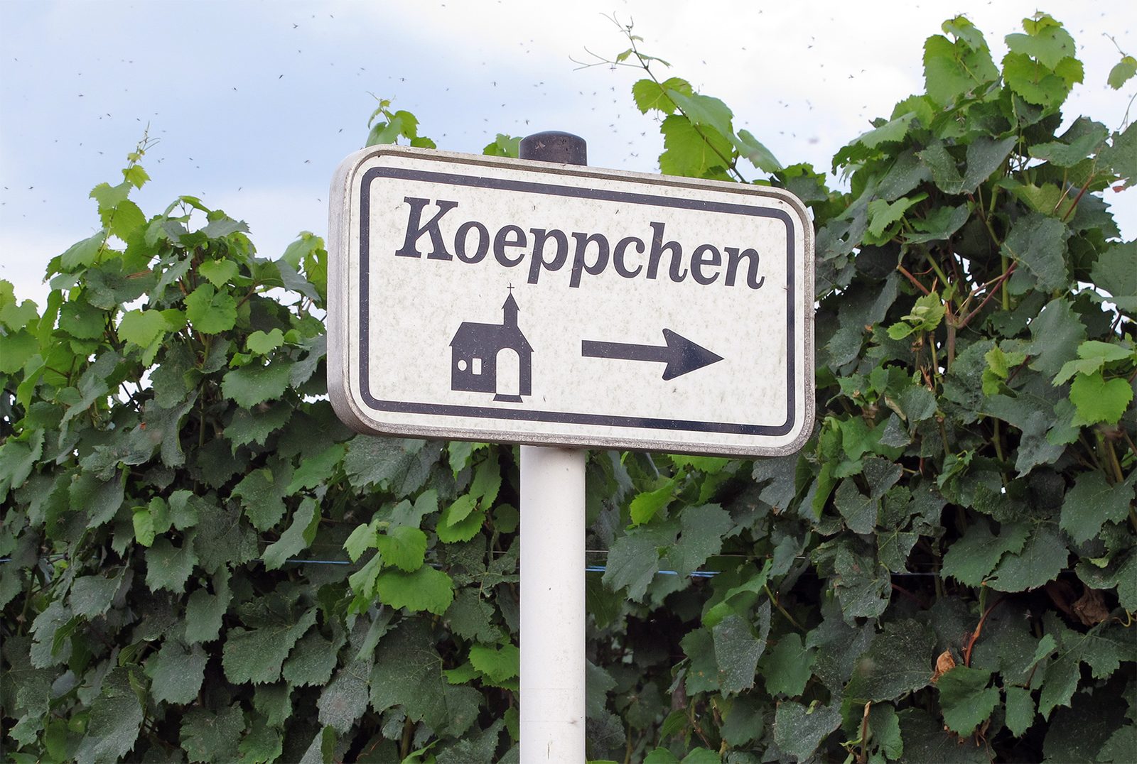 Schild Wormeldange Koeppchen 01