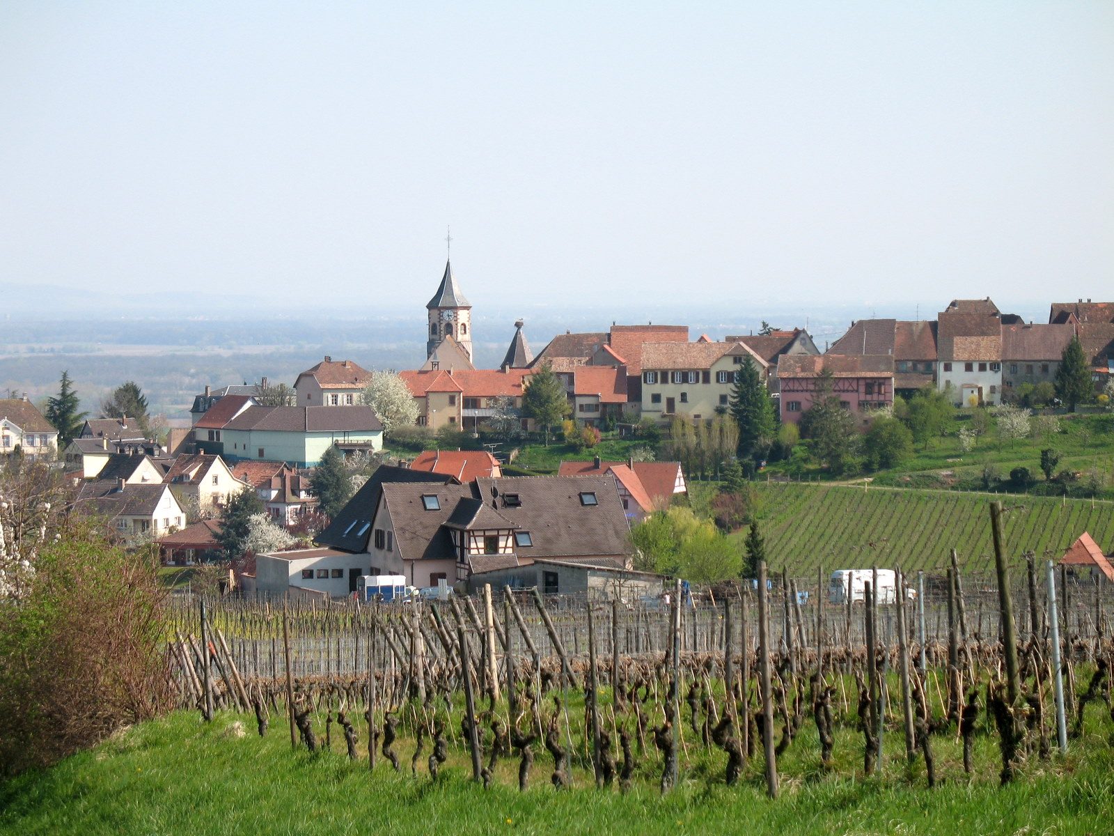Zellenberg, Alsace