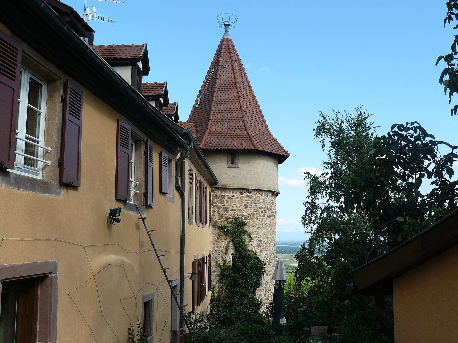 Zellenberg 151