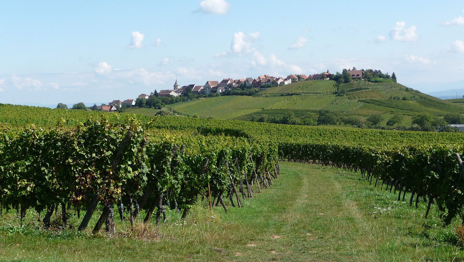 Zellenberg