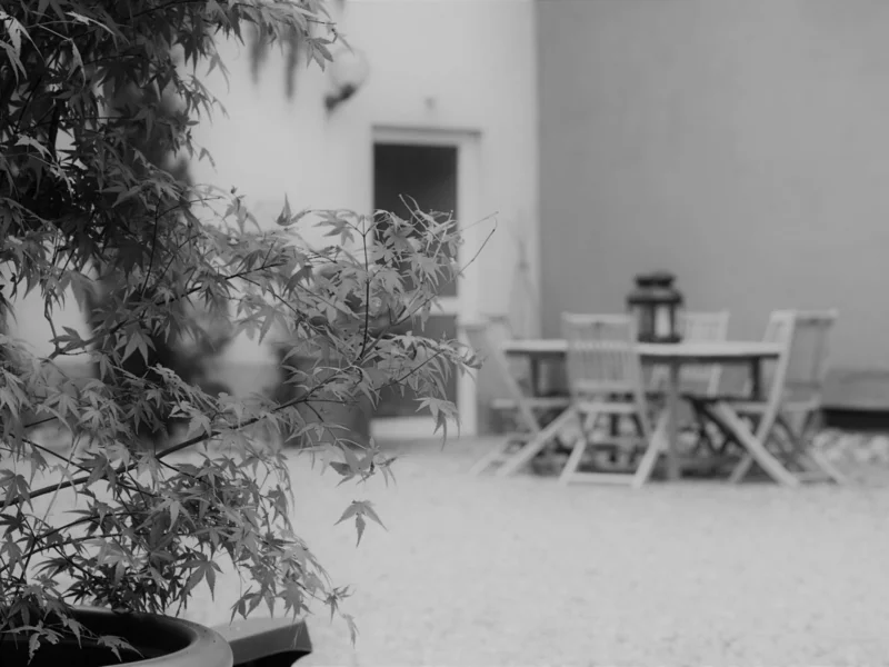 Home - Maison Zeyssolff