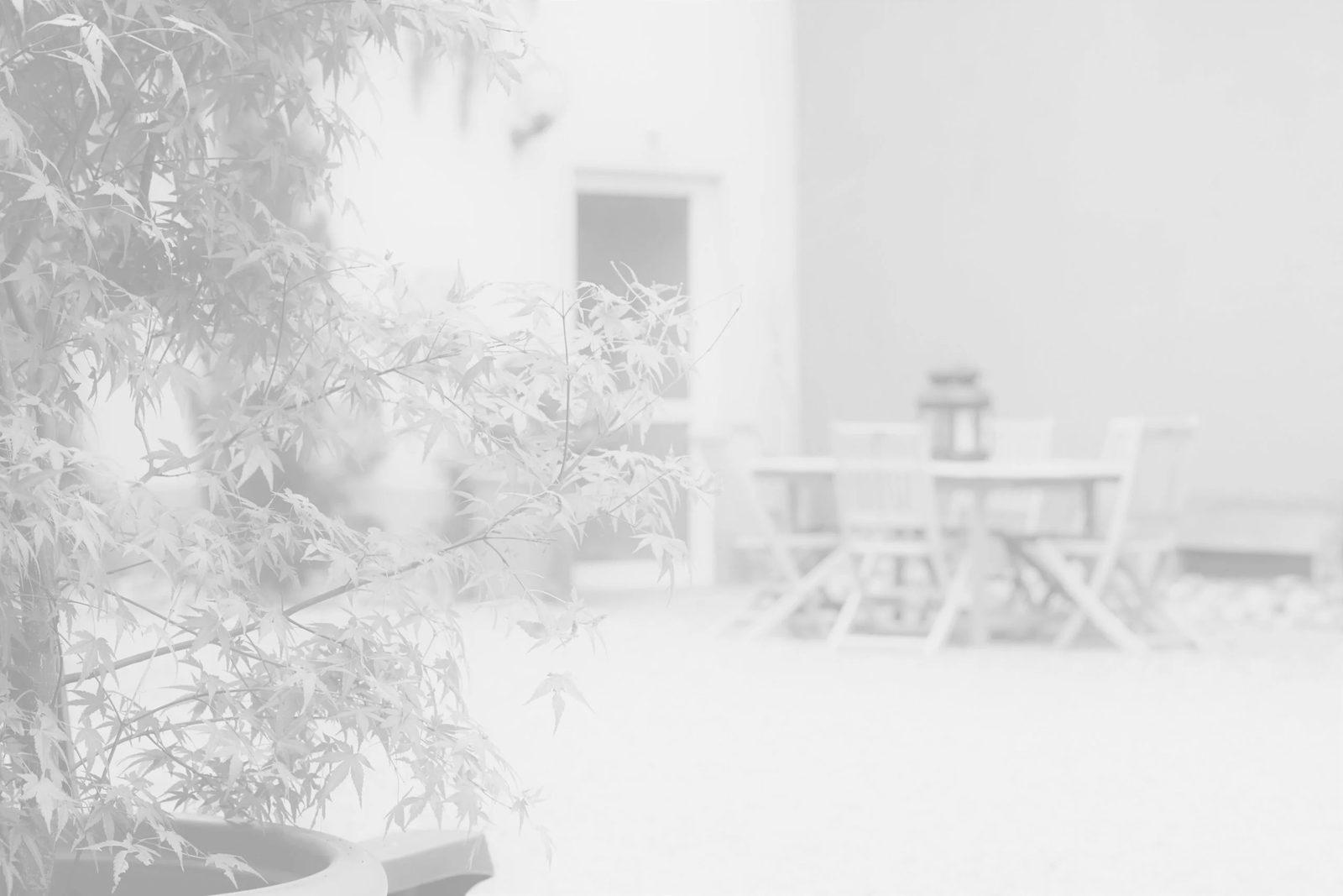 Zeyssolff Wines